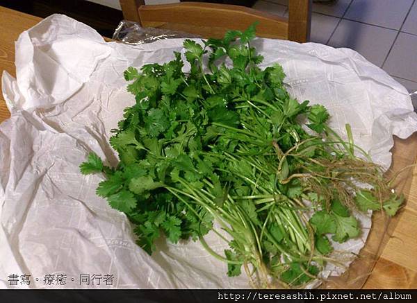 香菜 香菜
