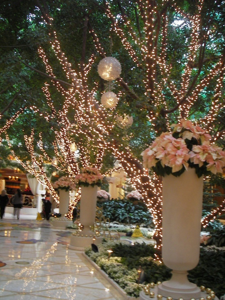 IMGP7126.JPG IMGP7126.JPG