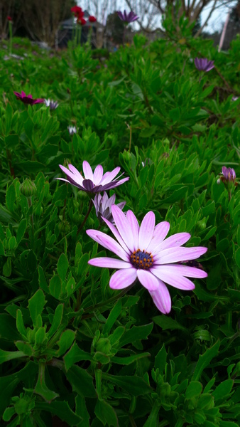 P1020539.JPG P1020539.JPG