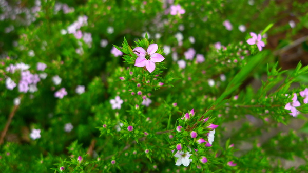 P1020545.JPG P1020545.JPG
