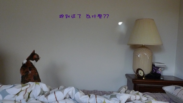 圖2.jpg 圖2.jpg