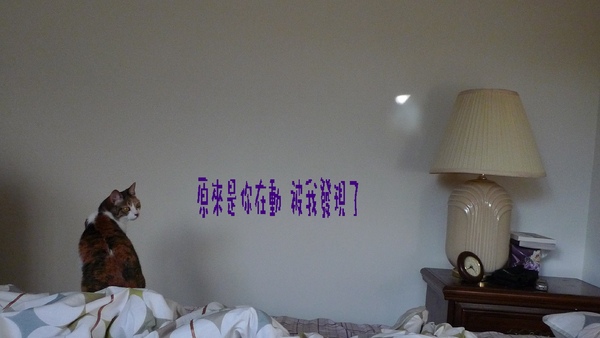 圖3.jpg 圖3.jpg