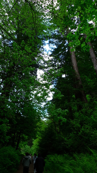 P1030848.JPG P1030848.JPG