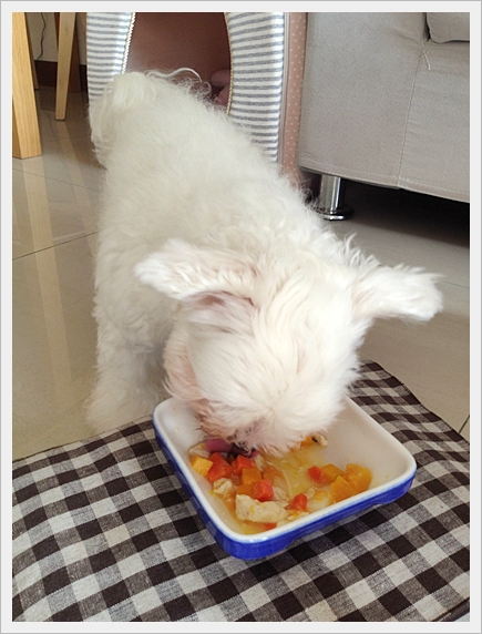 Photo 12-6-13 下午4 56 05