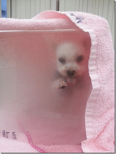 20130104_170227 20130104_170227