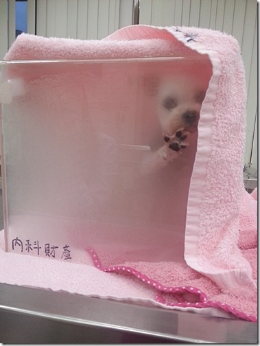 20130104_170548 20130104_170548