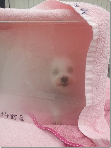 20130104_170829 20130104_170829