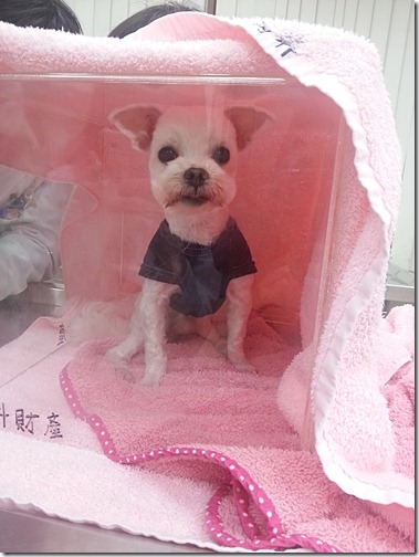 20130104_165209 20130104_165209