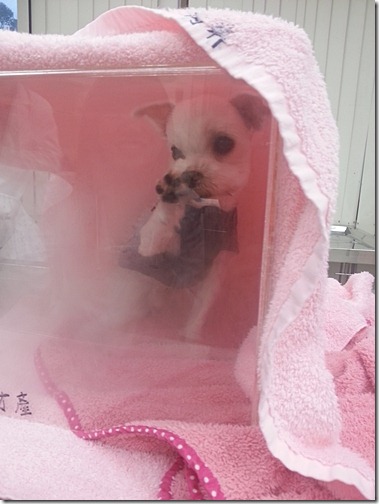 20130104_165308 20130104_165308