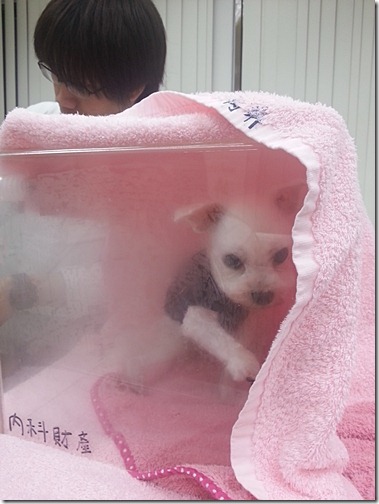 20130104_165725 20130104_165725