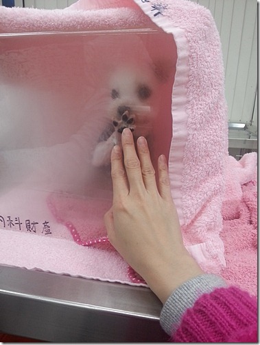 20130104_170030 20130104_170030