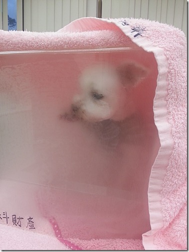 20130104_170230 20130104_170230