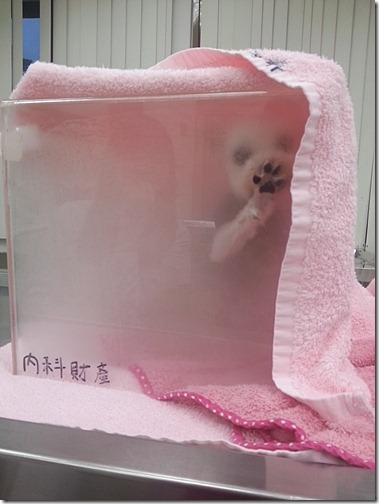 20130104_170553 20130104_170553