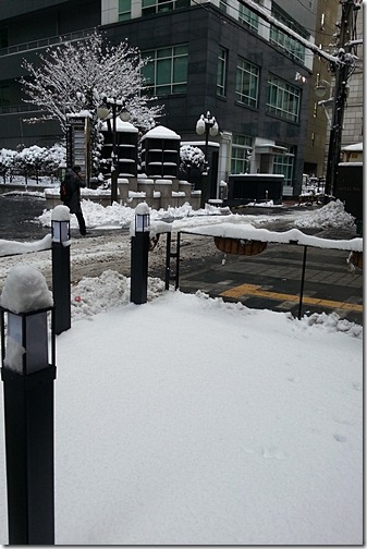 20130204_084228 20130204_084228