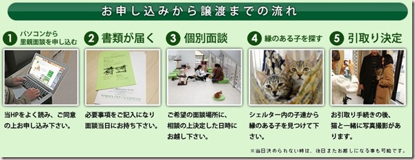 貓咪室友 貓咪室友