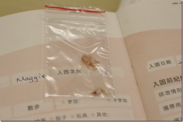 IMG_8442_副本 IMG_8442_副本