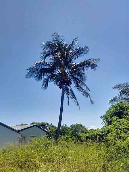 IMAG1701p1 IMAG1701p1