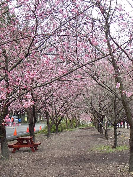 DSCN4652A.jpg DSCN4652A.jpg