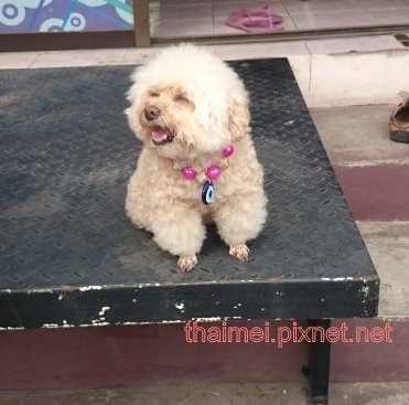 DSC_0062.JPG DSC_0062.JPG