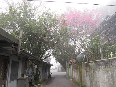 IMG_2413-w400.jpg IMG_2413-w400.jpg