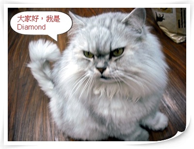 我是Diamond