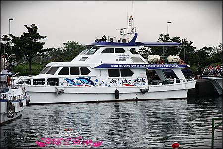 賞鯨1 (6).JPG