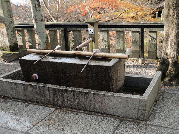 DSC01476.JPG DSC01476.JPG