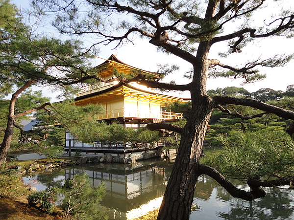 DSC01579.JPG DSC01579.JPG