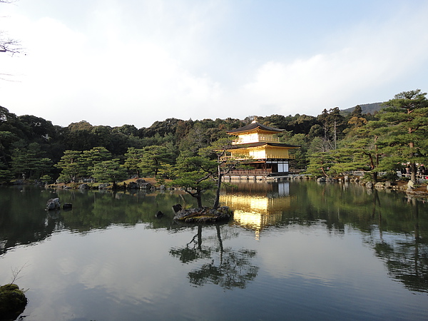 DSC01572.JPG DSC01572.JPG