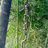 20111218783.jpg 20111218783.jpg