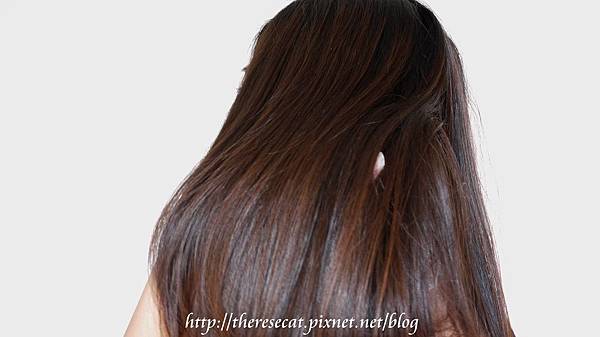 P1020745-2 P1020745-2