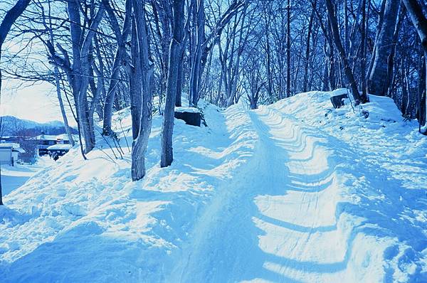 95950003.JPG 95950003.JPG