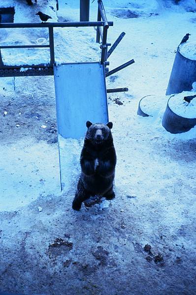 95950019.JPG 95950019.JPG