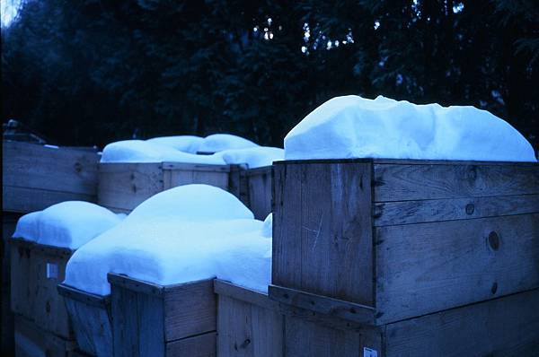 95950022.JPG 95950022.JPG