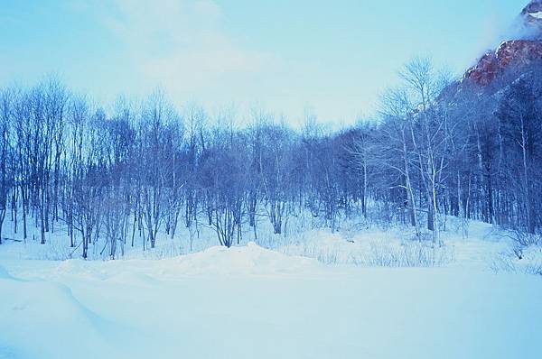 95950023.JPG 95950023.JPG