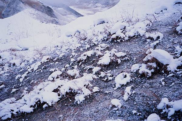 95960012.JPG 95960012.JPG