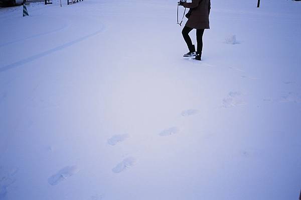 95980005.JPG 95980005.JPG