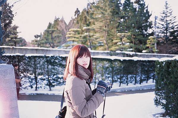 95980017.JPG 95980017.JPG