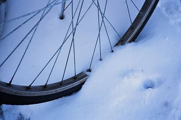 95980026.JPG 95980026.JPG