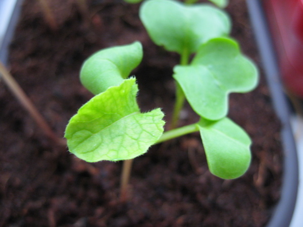 IMG_3183.jpg IMG_3183.jpg