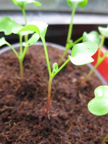 IMG_3188.jpg IMG_3188.jpg