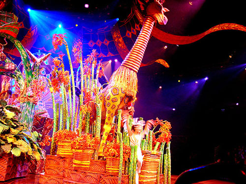 DSC01780.jpg DSC01780.jpg