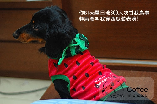 1215okA_r1_c1.jpg 1215okA_r1_c1.jpg