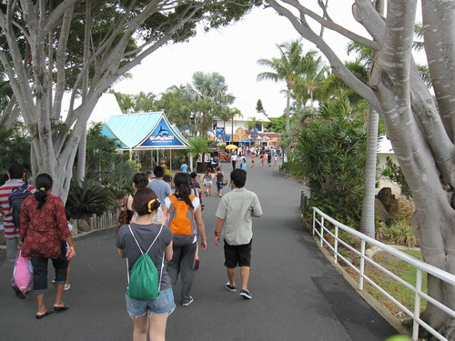 剛入園的時候天氣很好