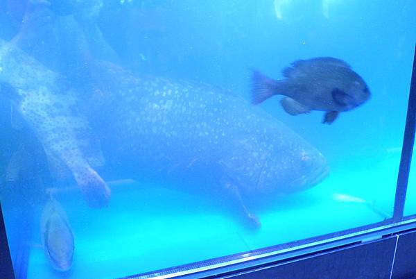 L1005125.JPG L1005125.JPG