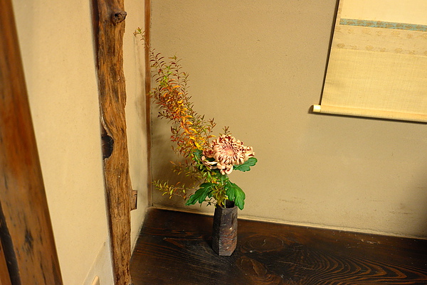 L1002864.JPG L1002864.JPG