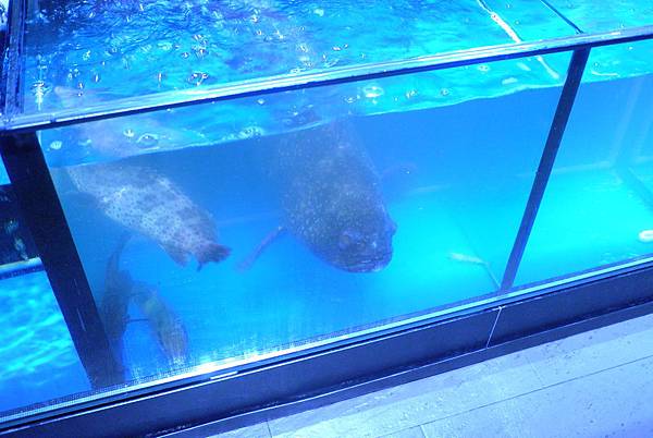 L1005124.JPG L1005124.JPG