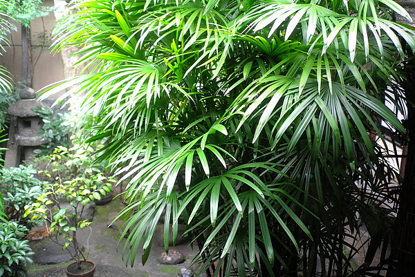 L1002883.JPG L1002883.JPG