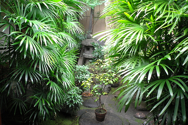 L1002882.JPG L1002882.JPG