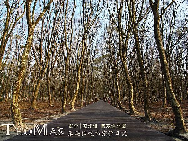 彰化_溪州_溪州公園_費茲洛公園_02 彰化_溪州_溪州公園_費茲洛公園_02